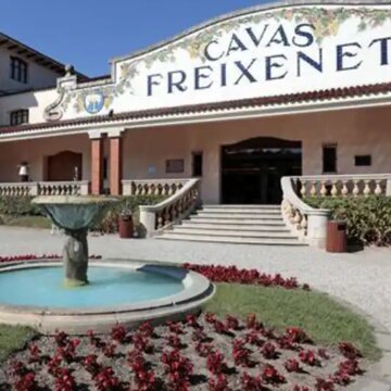 freixenet-presenta-un-erte-por-la-sequia-que-afectara-hasta-615-trabajadores