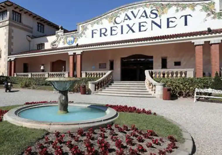 freixenet-presenta-un-erte-por-la-sequia-que-afectara-hasta-615-trabajadores