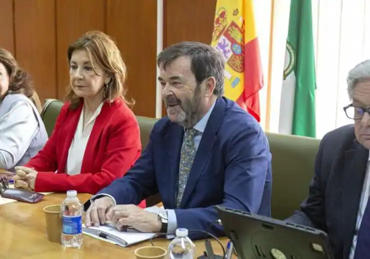 el-cgpj-insta-al-gobierno-a-que-amplie-hasta-2029-el-plazo-para-revisar-la-capacidad-juridica-de-las-personas-con-discapacidad