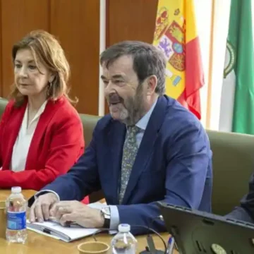 el-cgpj-insta-al-gobierno-a-que-amplie-hasta-2029-el-plazo-para-revisar-la-capacidad-juridica-de-las-personas-con-discapacidad