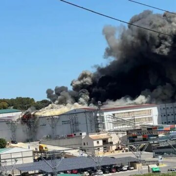 mas-de-medio-millon-de-gallinas-mueren-en-un-incendio-en-una-granja-en-cuenca