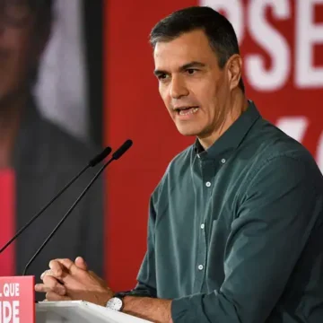 ¿A qué se dedicaba Pedro Sánchez antes de entrar en el mundo de la política?