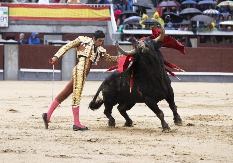 Miguel Ángel Perera, Paco Ureña y Alejandro Fermín lidian toros de El Parralejo en San Isidro