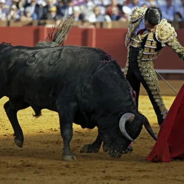 Miguel Ángel Perera, Emilio de Justo y Ginés Marín con lleno en Las Ventas