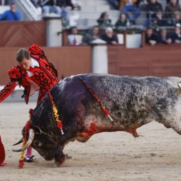 El mundo del toro se revuelve contra Urtasun: «Los ministros pasan, la tauromaquia se queda»