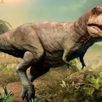 No, el T. rex no era tan inteligente como un simio