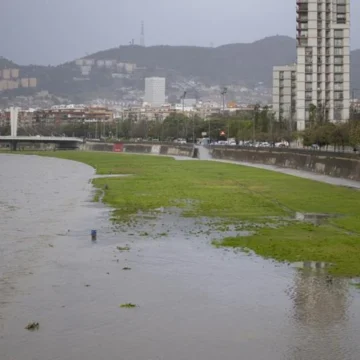 Cataluña suaviza las restricciones por la sequía a cinco días del 12M y tras el aumento de las reservas