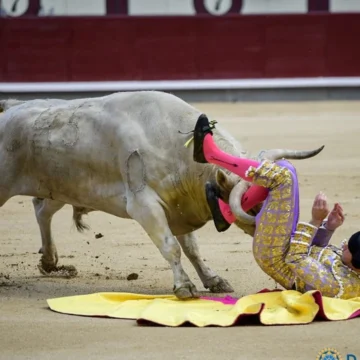 Las Ventas: de la grave cornada de Jesús Moreno a la Puerta Grande de Alejandro Chicharro