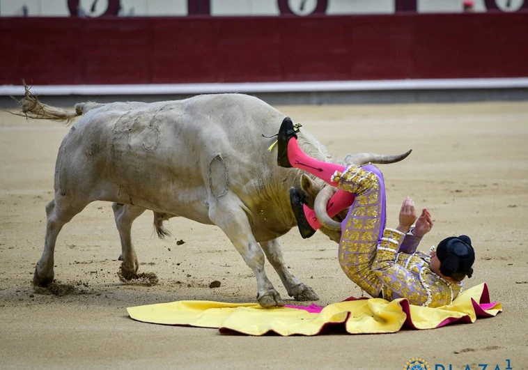 Las Ventas: de la grave cornada de Jesús Moreno a la Puerta Grande de Alejandro Chicharro