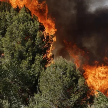 La Guardia Civil investiga las causas del incendio forestal en la localidad valenciana de Riba-roja de Túria