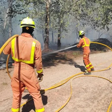 Un incendio en Riba-roja de Túria confina una urbanización y corta una línea de Metrovalencia