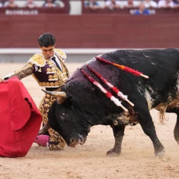Bastonito, un toro de leyenda para cambiar una vida