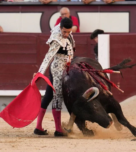 ¡Ay, si los toros bravos hablaran! ¡Ay, si los toros bravos hablaran!