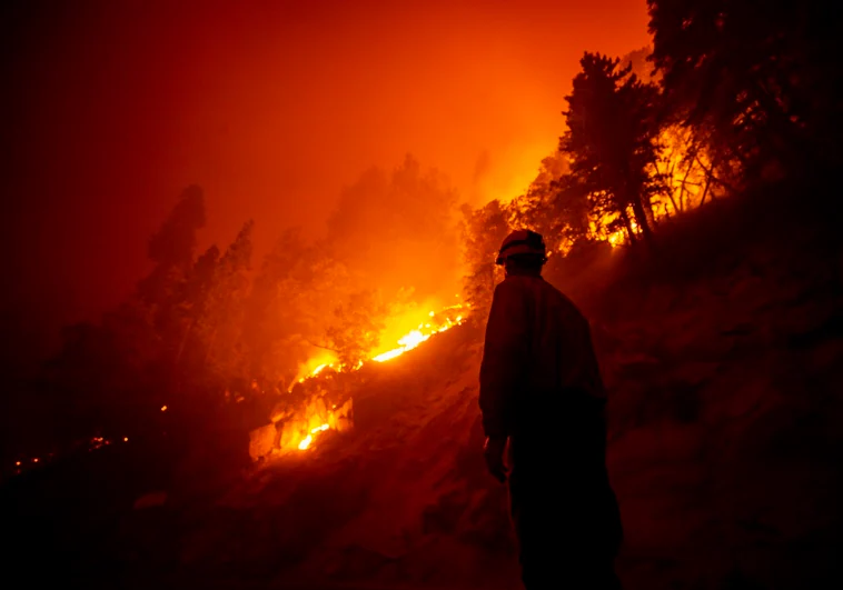 Trece detenciones en la isla de Hidra e incendios forestales fuera de control en Grecia