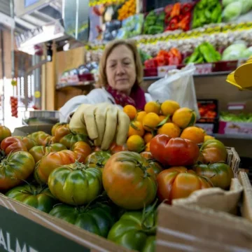 El Gobierno deja en el aire el IVA del 0% al aceite de oliva en la prórroga de la rebaja fiscal a los alimentos