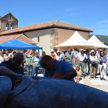 El atún Fernando y sus 236 kilos llevan el ‘ronqueo’ a la sierra de Madrid