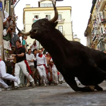 Los toros de Jandilla, los más peligrosos del mundo, protagonizan un encierro con varias caídas