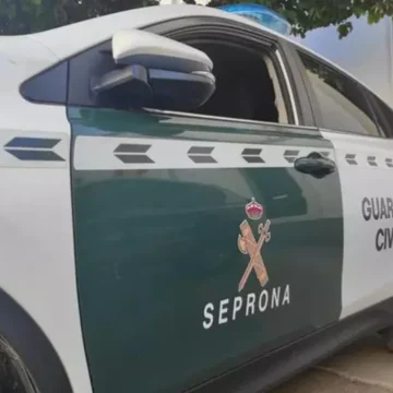 Hallan el cuerpo de un toro en una playa de Castellón en estado de descomposición