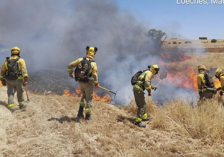 Un aparatoso incendio forestal en Loeches arrasa pastos y amenaza ya a una zona de viviendas