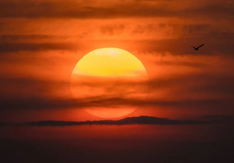 El mismo sol une Galicia y Japón El mismo sol une Galicia y Japón