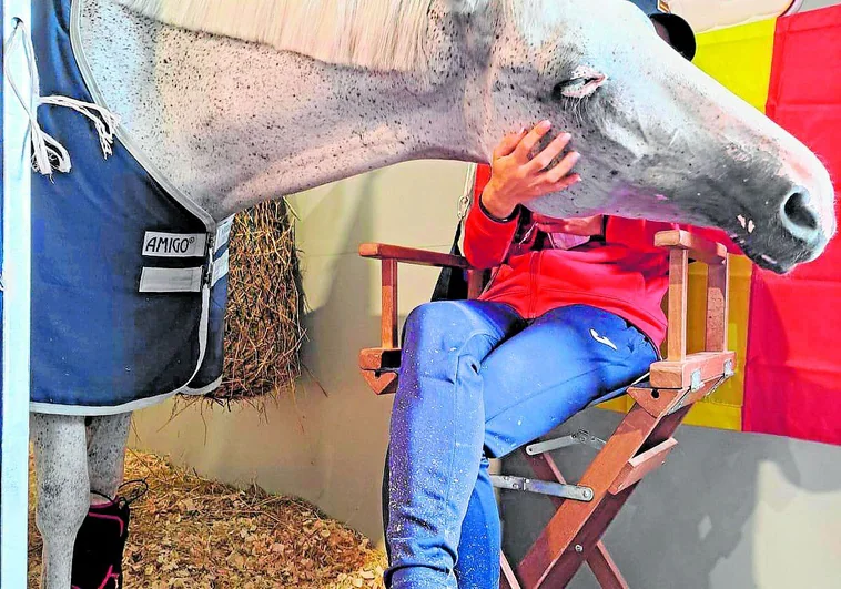 Los caballos, una vida de marqueses durante los Juegos Los caballos, una vida de marqueses durante los Juegos
