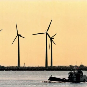 El Supremo rechaza el recurso de los pescadores contra la eólica marina