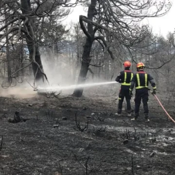 El riesgo extremo de incendios desde hoy pone a 6.000 efectivos en alerta en la Comunidad de Madrid