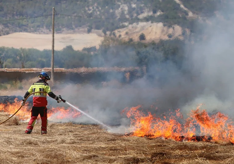 Hallan el cadáver de un hombre de 79 años entre los restos del incendio en una tierra de cultivo en Palencia