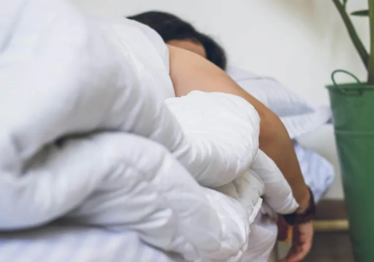 Ni ventiladores ni aire acondicionado: el truco de los japoneses para favorecer el descanso en días calurosos Ni ventiladores ni aire acondicionado: el truco de los japoneses para favorecer el descanso en días calurosos