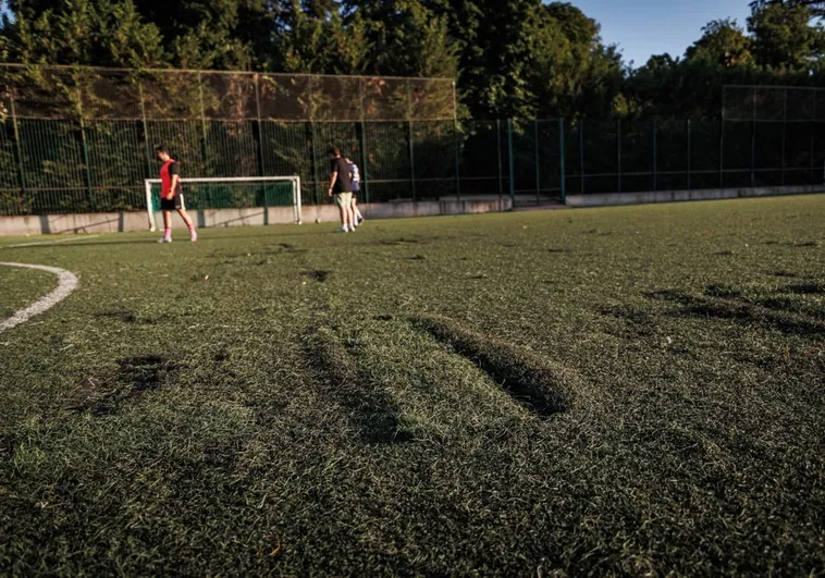 Peligro de lesión en el campo de fútbol del Retiro: «No puede ser que el césped parezca un patatal» Peligro de lesión en el campo de fútbol del Retiro: «No puede ser que el césped parezca un patatal»