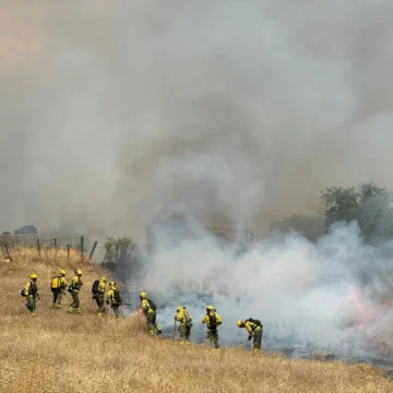 El incendio en Tres Cantos afecta ya a 250 hectáreas y obliga a movilizar a la UME