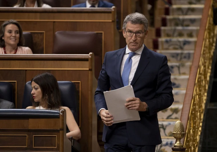 Feijóo pide el cese de Marlaska y Robles y que Sánchez dé cuentas en el Congreso por la huida