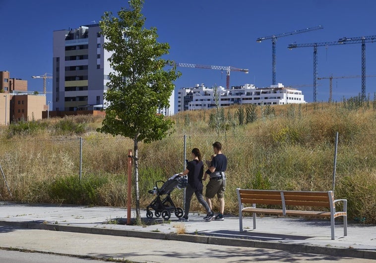 Más de la mitad de los jóvenes muestran su preocupación por la vivienda en Madrid Más de la mitad de los jóvenes muestran su preocupación por la vivienda en Madrid