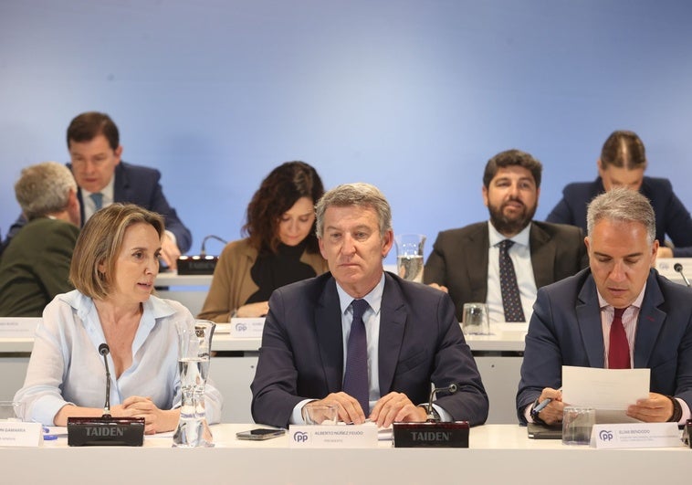 El PP reclama a Pumpido que se abstenga en el recurso contra la ley de amnistía El PP reclama a Pumpido que se abstenga en el recurso contra la ley de amnistía