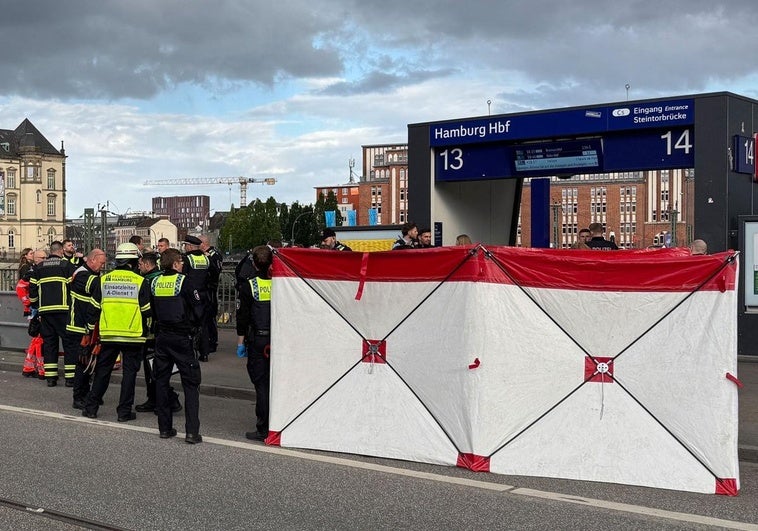 Al menos 12 heridos, varios de ellos en estado crítico, en un apuñalamiento en la estación de trenes de Hamburgo Al menos 12 heridos, varios de ellos en estado crítico, en un apuñalamiento en la estación de trenes de Hamburgo