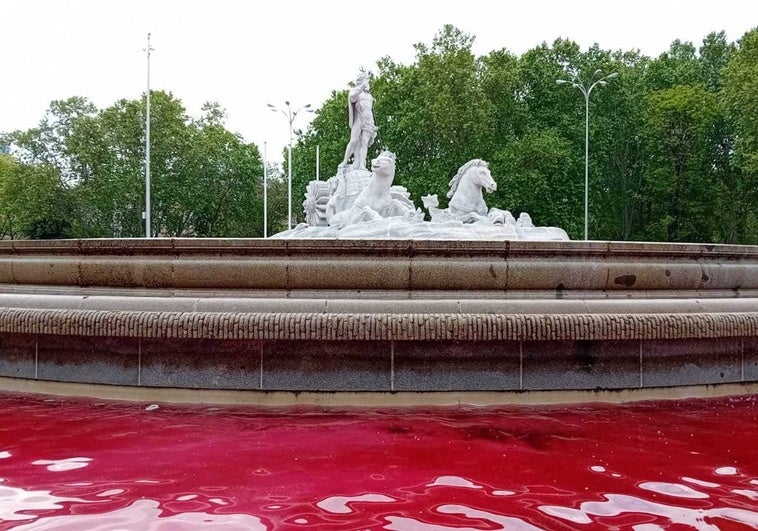 Greenpeace tiñe de rojo el agua de la fuente de Neptuno para reclamar al Gobierno un embargo de armas a Israel Greenpeace tiñe de rojo el agua de la fuente de Neptuno para reclamar al Gobierno un embargo de armas a Israel