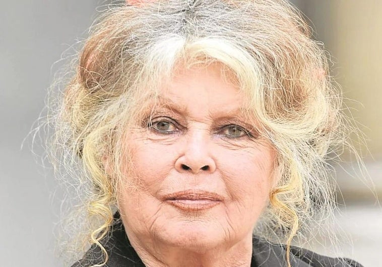Brigitte Bardot lanza su último combate, regalando un sonotone a Macron para que la escuche Brigitte Bardot lanza su último combate, regalando un sonotone a Macron para que la escuche