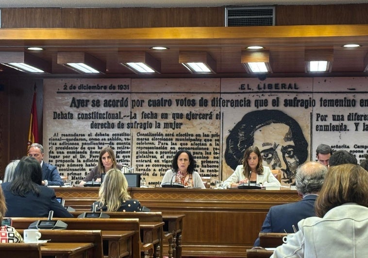 Cermi reclama una ley para reparar a las mujeres con discapacidad esterilizadas forzosamente Cermi reclama una ley para reparar a las mujeres con discapacidad esterilizadas forzosamente