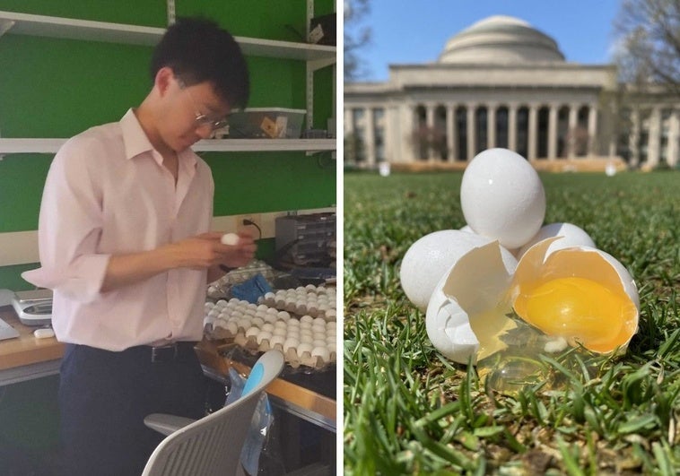 Físicos del MIT concluyen que los huevos se rompen más si caen en vertical Físicos del MIT concluyen que los huevos se rompen más si caen en vertical