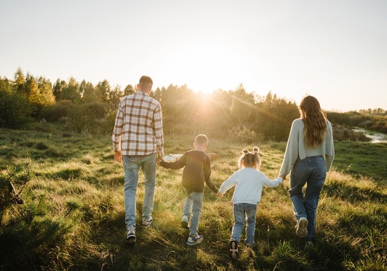 «La protección de las familias no parece estar entre las prioridades del legislador» «La protección de las familias no parece estar entre las prioridades del legislador»