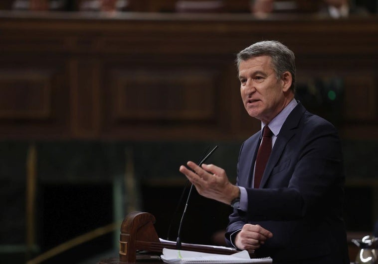 Feijóo acusa a Sánchez de «victimizarse» y no explicar las causas de un apagón que «solo recibió con alivio su hermano» Feijóo acusa a Sánchez de «victimizarse» y no explicar las causas de un apagón que «solo recibió con alivio su hermano»