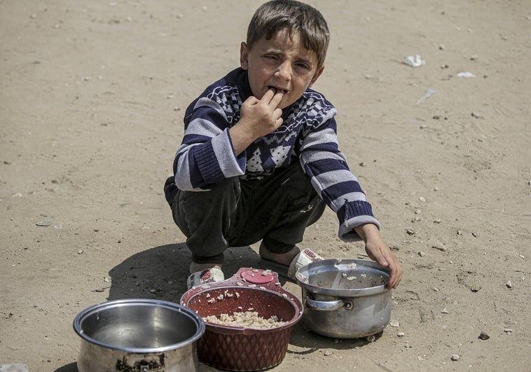 Israel se anexiona más de la mitad de Gaza tras dos meses de bloqueo Israel se anexiona más de la mitad de Gaza tras dos meses de bloqueo