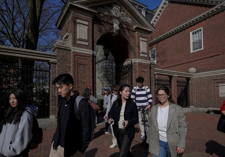 Pánico entre los españoles de Harvard Pánico entre los españoles de Harvard