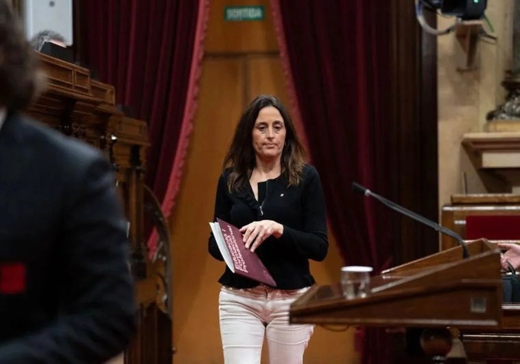 La consejera de Educación catalana no irá a Bruselas a responder sobre si se excluye al castellano La consejera de Educación catalana no irá a Bruselas a responder sobre si se excluye al castellano