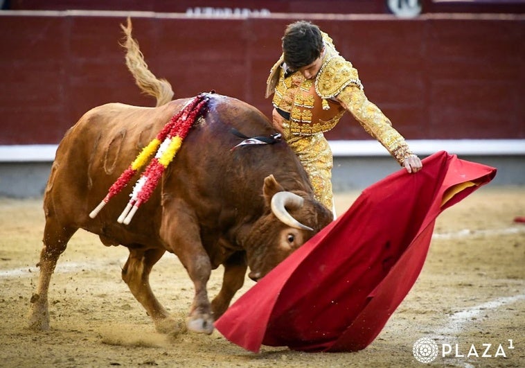 Aarón Palacio, al rescate del martes y trece de San Isidro Aarón Palacio, al rescate del martes y trece de San Isidro