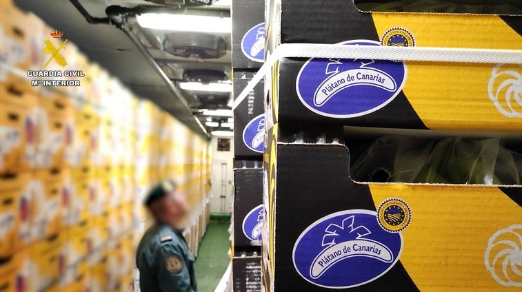 Se enfrentan a una multa de hasta 3 millones de euros por vender bananas portuguesas como plátanos de Canarias Se enfrentan a una multa de hasta 3 millones de euros por vender bananas portuguesas como plátanos de Canarias