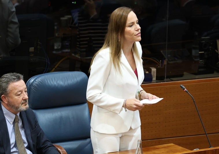 Vox acude al Tribunal Constitucional contra el «rodillo» del PP en la Comisión Begoña de la Asamblea de Madrid Vox acude al Tribunal Constitucional contra el «rodillo» del PP en la Comisión Begoña de la Asamblea de Madrid