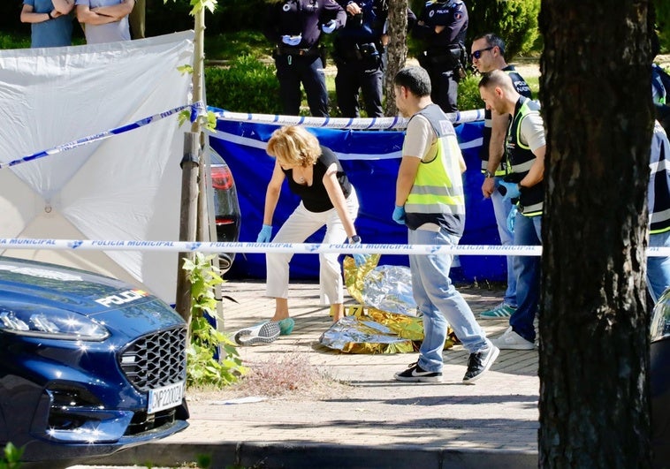 La Policía investiga los negocios del abogado ucraniano como móvil de su asesinato en Pozuelo La Policía investiga los negocios del abogado ucraniano como móvil de su asesinato en Pozuelo