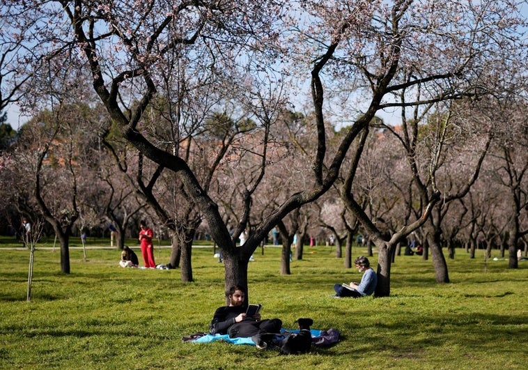 Pasea Madrid 2025: nuevas rutas y cómo apuntarse a las visitas guiadas gratuitas Pasea Madrid 2025: nuevas rutas y cómo apuntarse a las visitas guiadas gratuitas