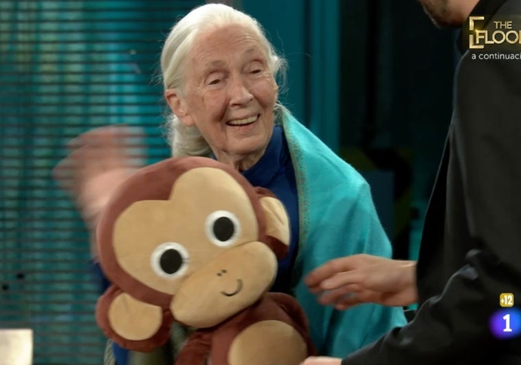 Jane Goodall: «Los chimpancés me recuerdan a ciertos políticos hombres» Jane Goodall: «Los chimpancés me recuerdan a ciertos políticos hombres»